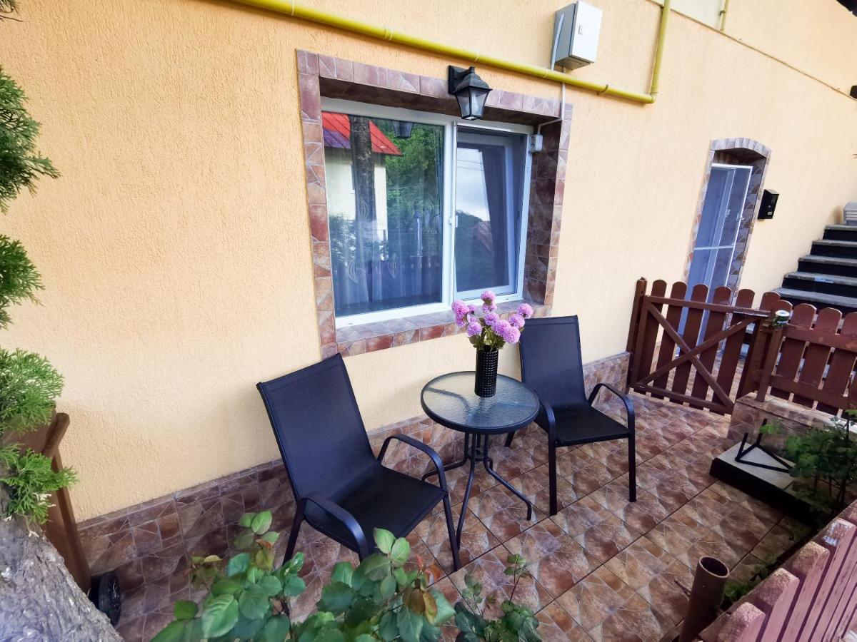 Apartament Dilama Sinaia Extérieur photo