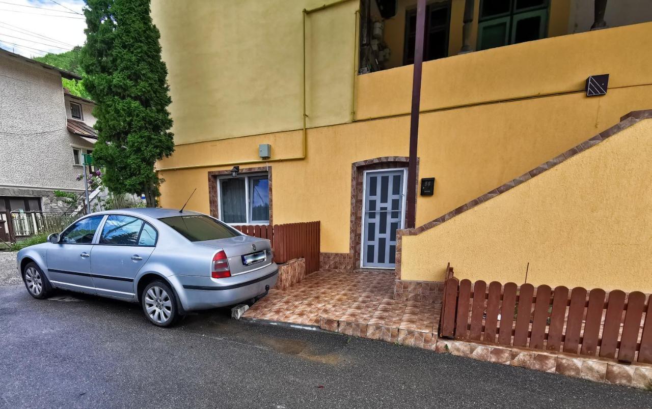 Apartament Dilama Sinaia Extérieur photo