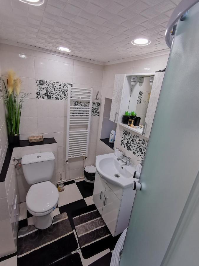 Apartament Dilama Sinaia Extérieur photo